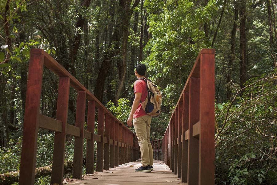 foto-2-puentes
